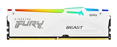 Kingston Fury Beast RGB DDR5-5600 32GB (KF556C36BWEA-32) Kingston Fury Beast RGB DDR5-5600 32GB (KF556C36BWEA-32)