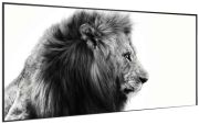 Klarstein Wonderwall Air Art Smart Löwe 120 x 60 cm