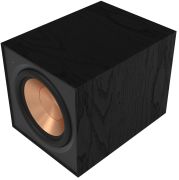 Klipsch R-101SW
