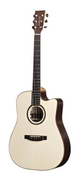 Lakewood D-31 CP