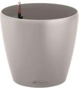 Lechuza Classico Color 21
