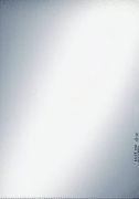 Leitz Standard Sichthülle 100 Stück (4000)