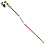 Leki Worldcup Racing GS