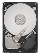 Lenovo ThinkSystem 8TB SAS (7XB7A00045)