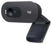 Logitech C505e