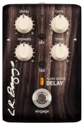L.R. Baggs Align Delay