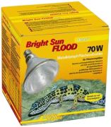 Lucky Reptile Bright Sun Flood Desert 70 W