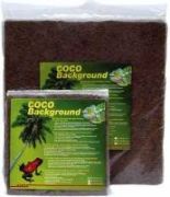Lucky Reptile Coco Background 100x50x2 cm