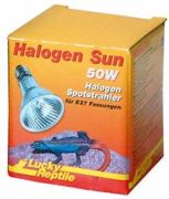 Lucky Reptile Halogen Sun 50 W