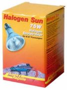 Lucky Reptile Halogen Sun 75 W