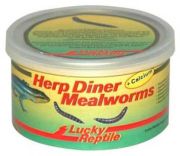 Lucky Reptile Herp Diner Mealworms 35 g