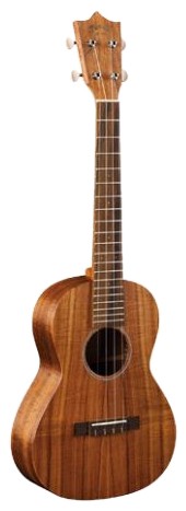 Martin Guitars T1K