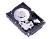 Fujitsu 147GB (MAX3147RC)