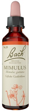Murnauers Bachblüten Mimulus Tropfen 20 ml