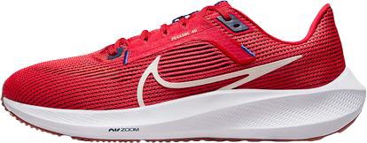 NIKE Air Zoom Pegasus 40 Herren