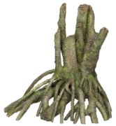 Nobby Aqua Ornaments Wurzel (28324)