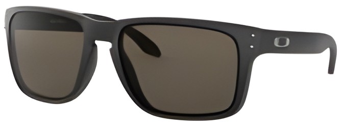 Oakley Holbrook XL