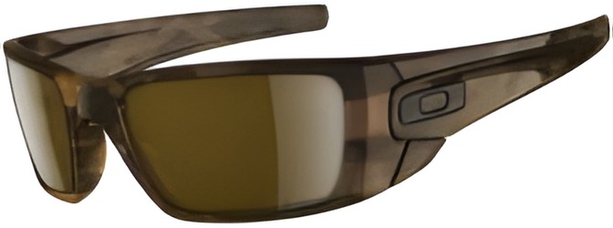 Oakley Polarized Fuel Cell