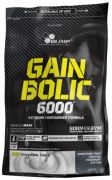 Olimp Gain Bolic 6000 1000 g