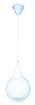 Omnitronic WP-5W