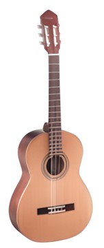 Ortega R-131 SN
