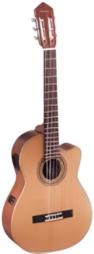Ortega RCE-131