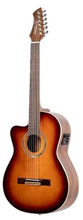 Ortega RCE238SN-FT-L