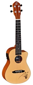 Ortega RU5CE