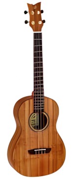 Ortega RUACA-BA