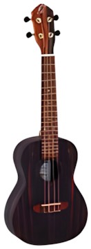 Ortega RUEB-CC