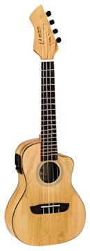 Ortega RUMG-CE