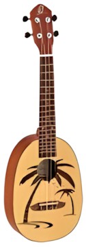 Ortega RUPA5