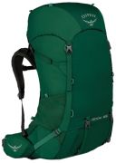 Osprey Rook 65