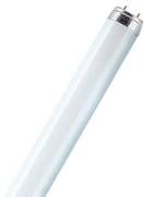 Osram Farbige T8 L 36 W/60 FLH1 G13 Osram Farbige T8 L 36 W/60 FLH1 G13