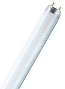Osram Farbige T8 L 36 W/62 FLH1 G13 Osram Farbige T8 L 36 W/62 FLH1 G13