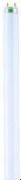 Osram Farbige T8 L 36 W/67 FLH1 G13 Osram Farbige T8 L 36 W/67 FLH1 G13