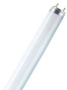 Osram Fluora T8 L 36 W/77 FLH1 G13 Osram Fluora T8 L 36 W/77 FLH1 G13