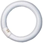 Ledvance Lumilux T9 C Ringform L 32 W/840 C G10Q FLH1 Ledvance Lumilux T9 C Ringform L 32 W/840 C G10Q FLH1