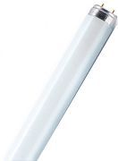 Osram Natura T8 L 36 W/76-1 FLH1 G13 Osram Natura T8 L 36 W/76-1 FLH1 G13