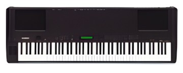 Yamaha P-250