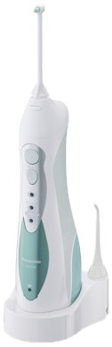 Panasonic EW1313