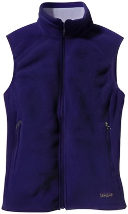 Patagonia Synchilla Vest