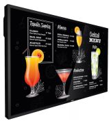Philips 55BDL3117P