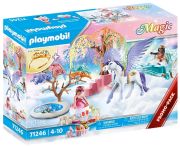 Playmobil Magic Picknick mit Pegasuskutsche (71246)