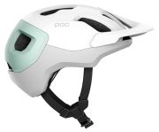 POC Axion Spin