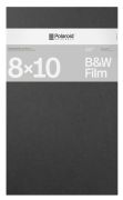 Polaroid B&W Film 8x10