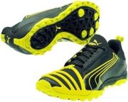 Puma XC II