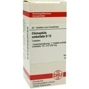 DHU-Arzneimittel CHIMAPHILA UMBELLATA D 12 TABLETTEN, 80 St.