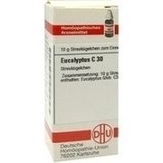 DHU-Arzneimittel EUCALYPTUS C 30 GLOBULI, 10 g