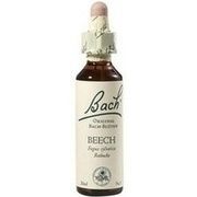 Nelsons BACHBLUETEN BEECH TROPFEN 20 ML